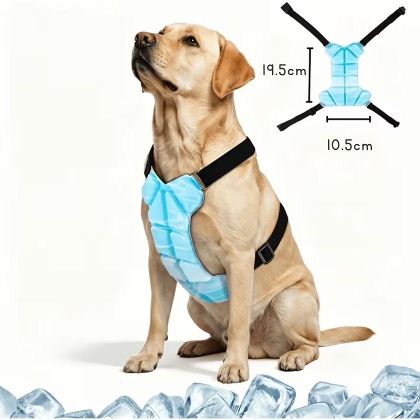 ChillVest™ – Kühlweste für Hunde
