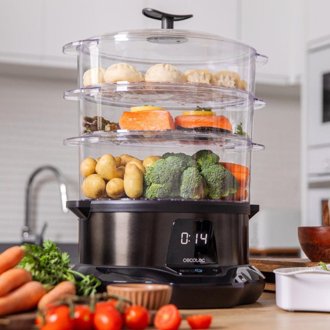 Vapovita Pro Steamer