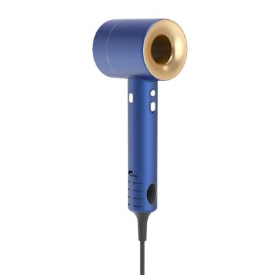 Design-Haartrockner Ohmex