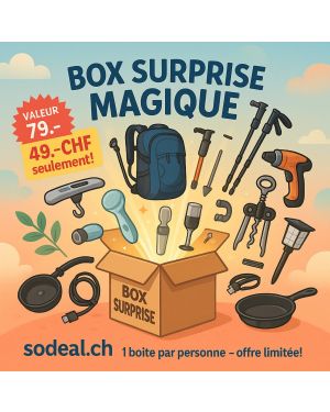 La Mystéri-Box des Grands