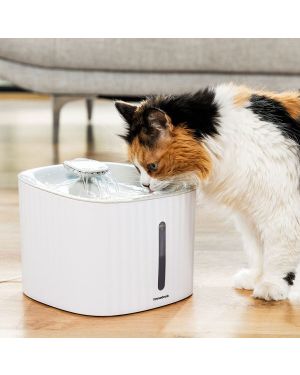 Automatische Wasserspender für Haustiere