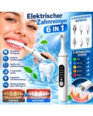 Elektrischer Zahnreiniger 6-in-1