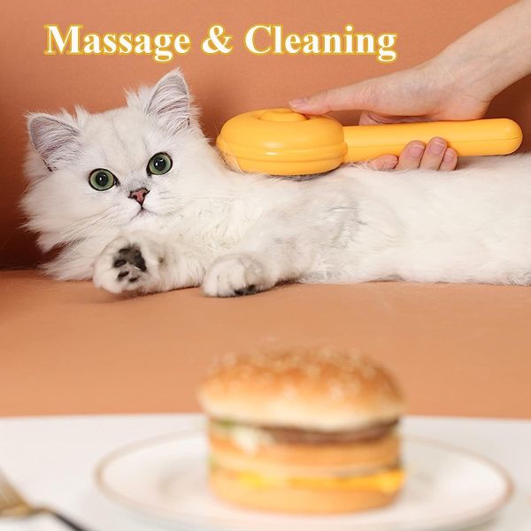 brosse massage chat