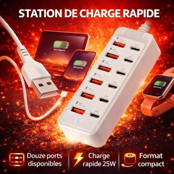 Station de Charge Rapide USB 12...