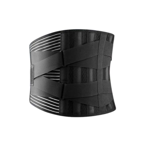 FlexiForm Ceinture de Soutien dorsal