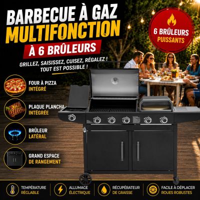 Barbecue à gaz multifonction à 6 brûleurs
