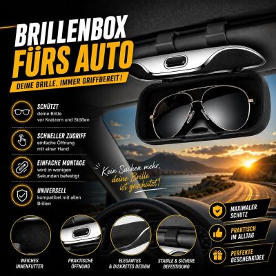 Brillenetui fürs Auto