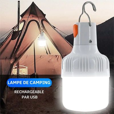 DuoLight™ - Set aus 2 USB-aufladbaren LED-Lampen für den Außenbereich