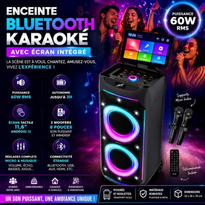 Enceinte Bluetooth Karaoké avec Écran Intégré