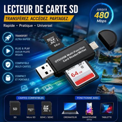 Lecteur de Carte SD