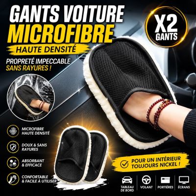 Lot de 2 Gants Voiture en Microfibre Haute Densité