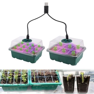Mini Serre d'Intérieur LED – Pour Semis, Boutures et Germinations