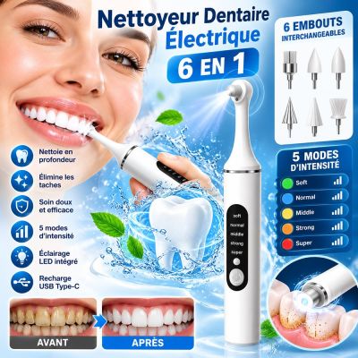 Nettoyeur Dentaire Électrique 6 en 1