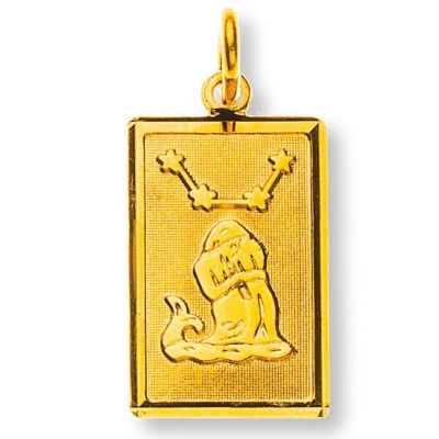 Pendentif Olyssa Starlight - Verseau | GG750, 14x9mm