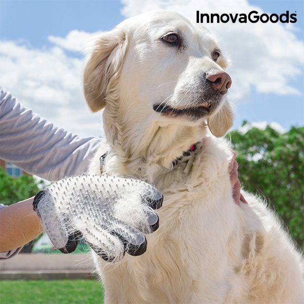 Bürstenhandschuh für Hunde und Katzen