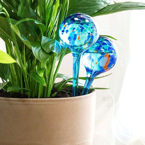 Automatische Bewässerungsballons im 2er Set